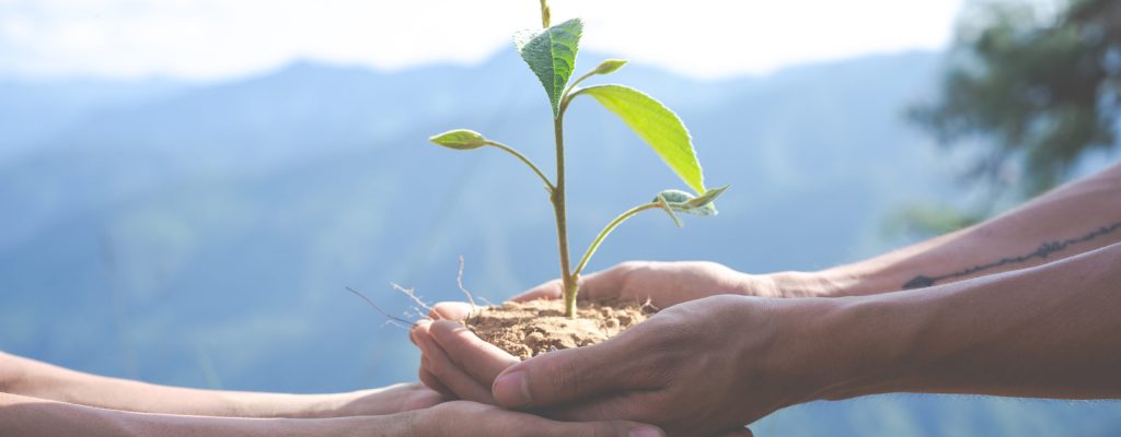 Concept of environmental conservation in the garden for children. Concept of environmental conservation in the garden for children.